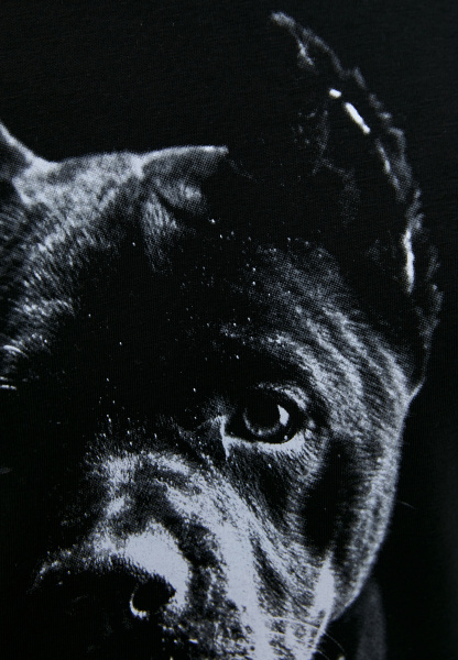 03-черный смог